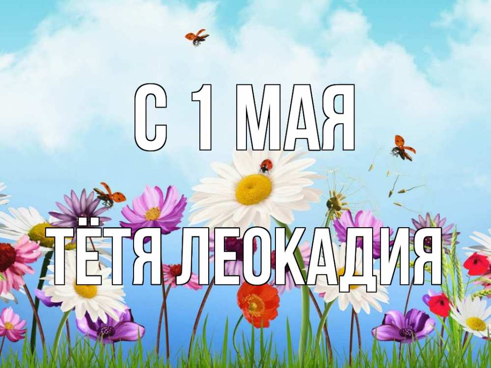Открытка на каждый день с именем, Тётя-Леокадия С 1 мая С 1 мая Прикольная открытка с пожеланием онлайн скачать бесплатно 