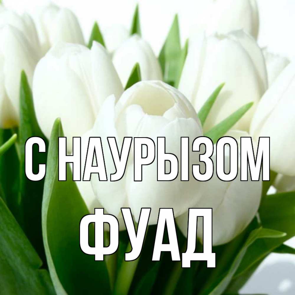 Открытка на каждый день с именем, Фуад С наурызом цветы Прикольная открытка с пожеланием онлайн скачать бесплатно 