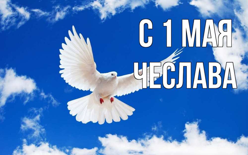 Открытка на каждый день с именем, Чеслава С 1 мая С 1 мая 1 Прикольная открытка с пожеланием онлайн скачать бесплатно 