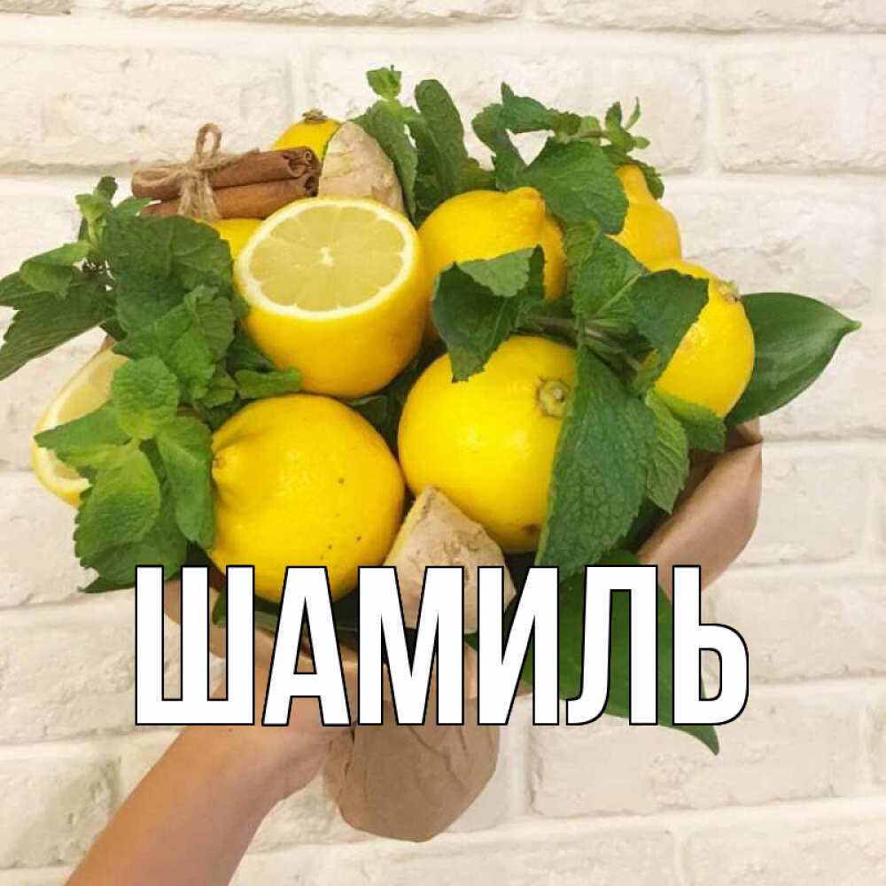 Открытка на каждый день с именем, Шамиль Главная витамины Прикольная открытка с пожеланием онлайн скачать бесплатно 