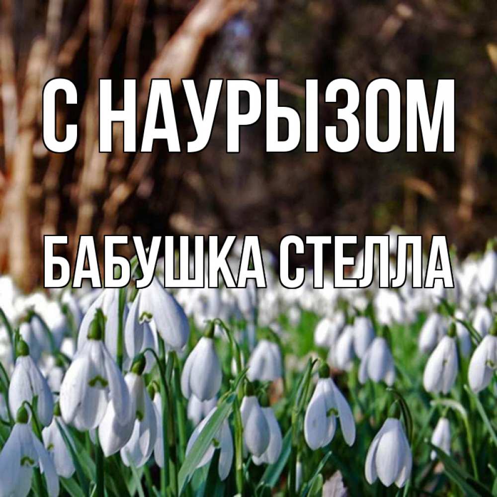 Открытка на каждый день с именем, Бабушка-Стелла С наурызом с подснежниками 1 Прикольная открытка с пожеланием онлайн скачать бесплатно 