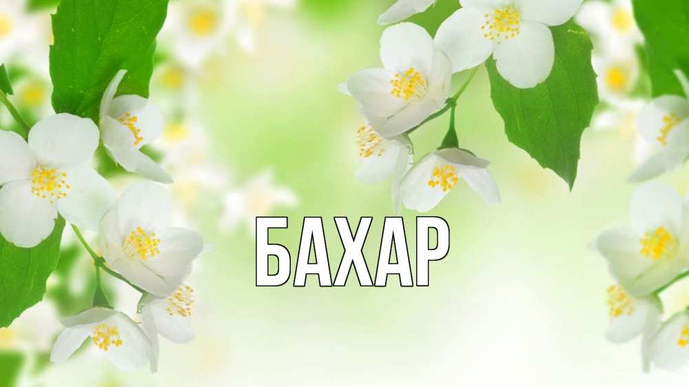 Открытка на каждый день с именем, Бахар Главная С 1 мая Прикольная открытка с пожеланием онлайн скачать бесплатно 