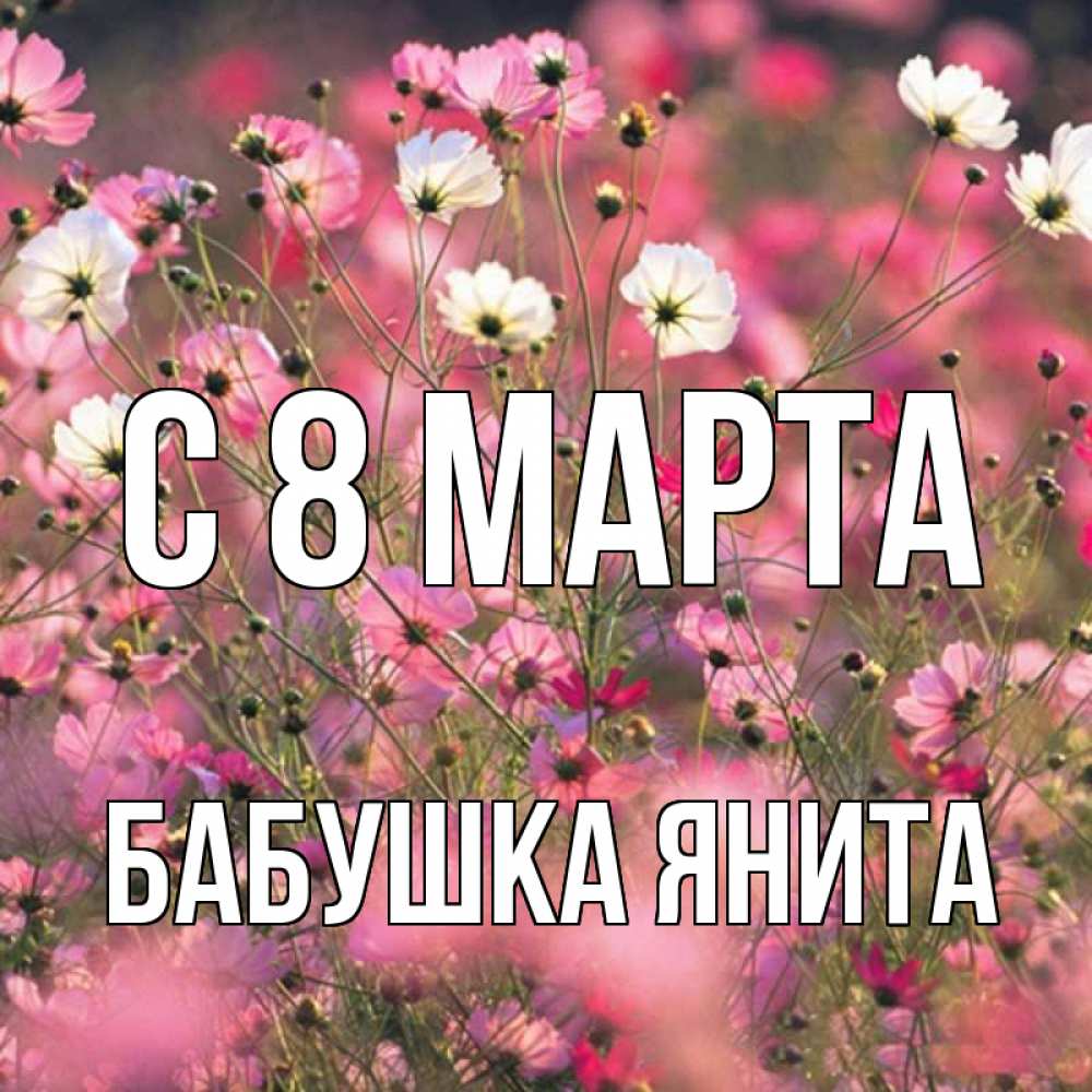 Открытка на каждый день с именем, Бабушка-Янита С 8 марта красиво 1 Прикольная открытка с пожеланием онлайн скачать бесплатно 