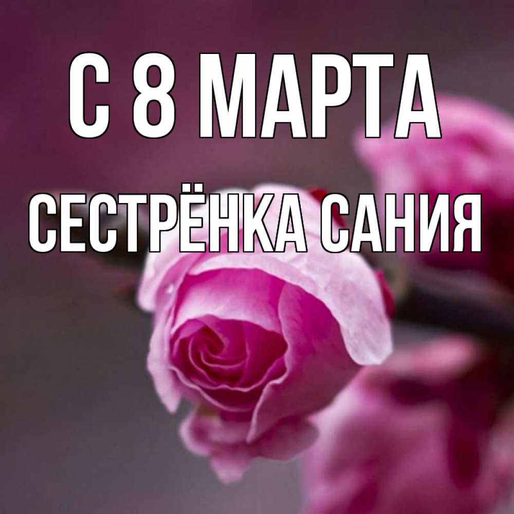 Открытка на каждый день с именем, Сестрёнка-Сания С 8 марта весна Прикольная открытка с пожеланием онлайн скачать бесплатно 