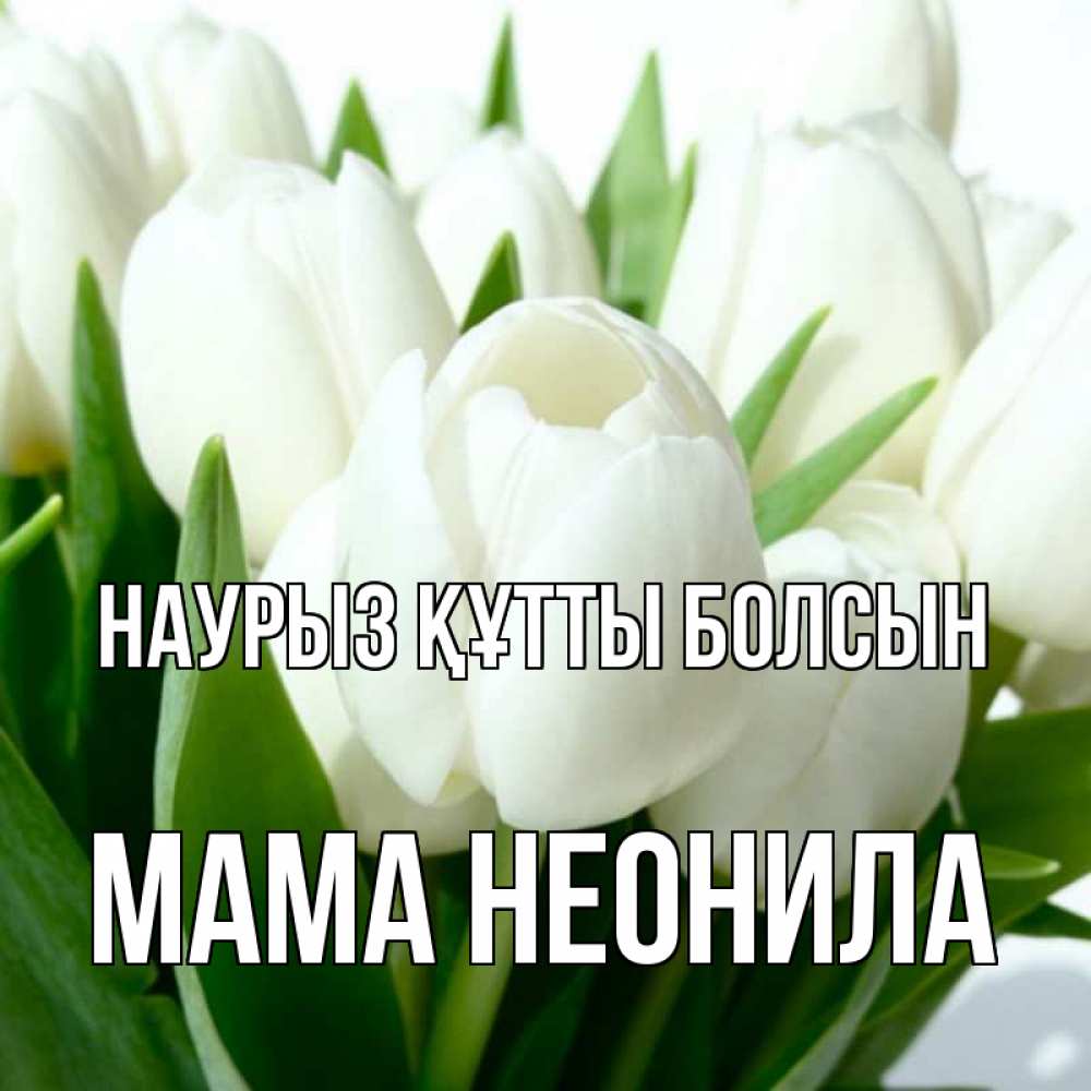 Открытка на каждый день с именем, Мама-Неонила Наурыз құтты болсын цветы Прикольная открытка с пожеланием онлайн скачать бесплатно 