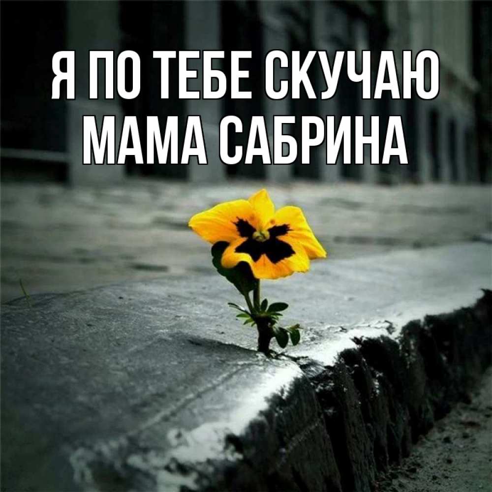 Открытка на каждый день с именем, Мама-Сабрина Я по тебе скучаю надеюсь будет лучше Прикольная открытка с пожеланием онлайн скачать бесплатно 