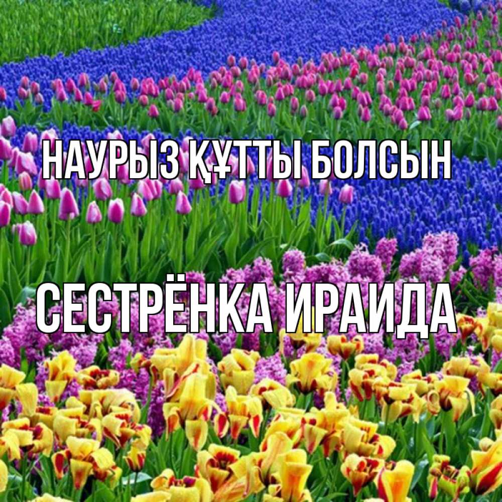 Открытка на каждый день с именем, Сестрёнка-Ираида Наурыз құтты болсын цветы Прикольная открытка с пожеланием онлайн скачать бесплатно 
