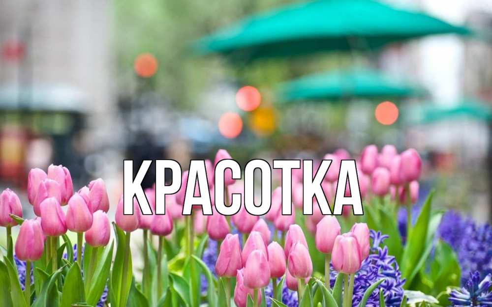 Открытка на каждый день с именем, красотка Главная С 1 мая Прикольная открытка с пожеланием онлайн скачать бесплатно 