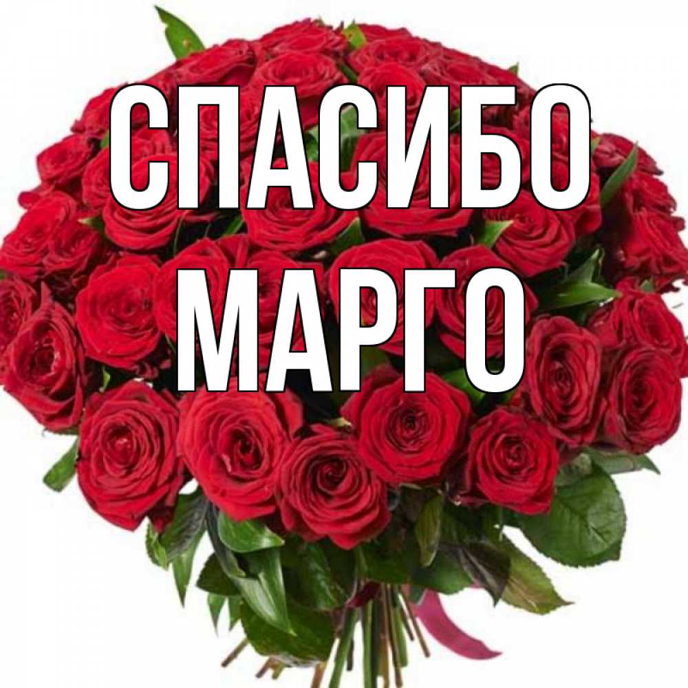 Картинки С Именем Марго