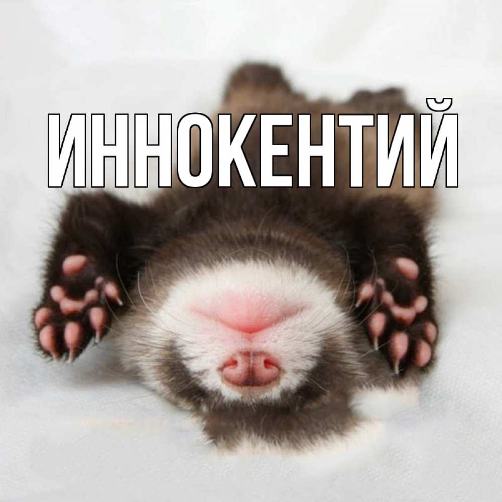 Спокойной ночи сереженька картинки
