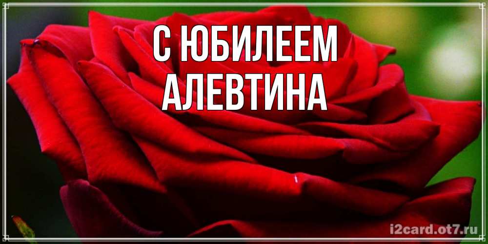 Открытка на каждый день с именем, Алевтина С юбилеем розочка очень красивая Прикольная открытка с пожеланием онлайн скачать бесплатно 