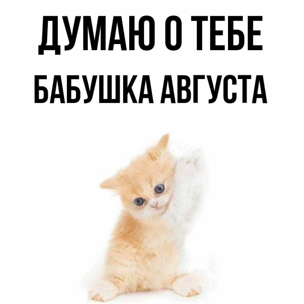 Открытка на каждый день с именем, Бабушка-Августа Думаю о тебе зверушки и милота Прикольная открытка с пожеланием онлайн скачать бесплатно 