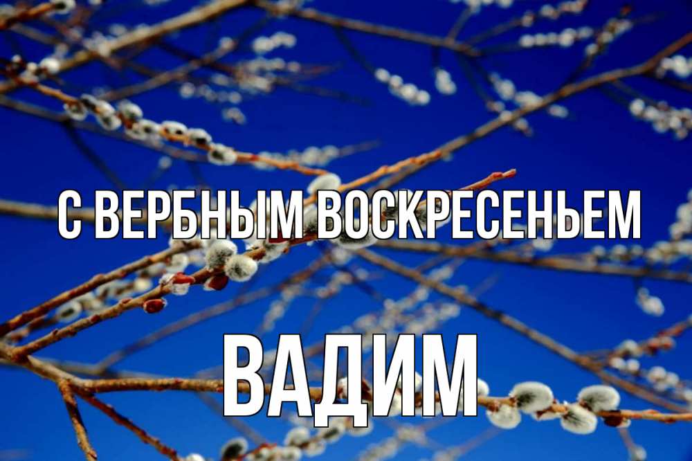 Открытка на каждый день с именем, Вадим С вербным воскресеньем верба Прикольная открытка с пожеланием онлайн скачать бесплатно 