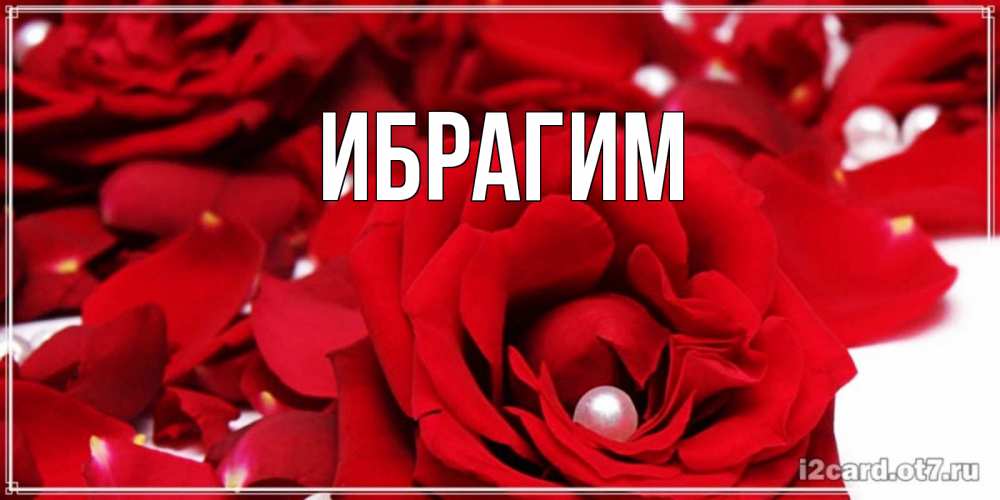 Открытка на каждый день с именем, Ибрагим Главная роза с жемчужиной на открытке для любимых Прикольная открытка с пожеланием онлайн скачать бесплатно 