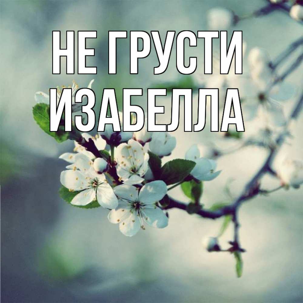 Открытка на каждый день с именем, Изабелла Не грусти яблоня в цвету 1 Прикольная открытка с пожеланием онлайн скачать бесплатно 
