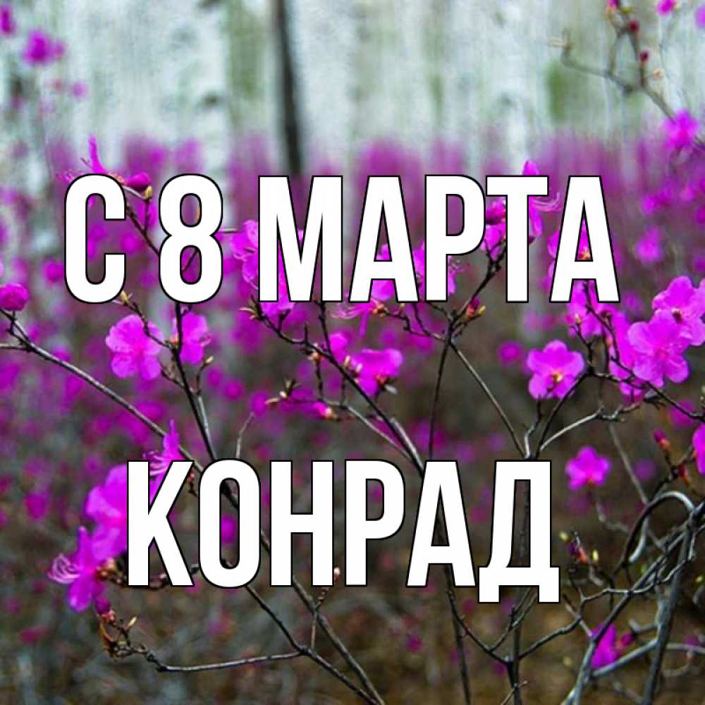 Открытка на каждый день с именем, Конрад С 8 МАРТА дикие цветы Прикольная открытка с пожеланием онлайн скачать бесплатно 
