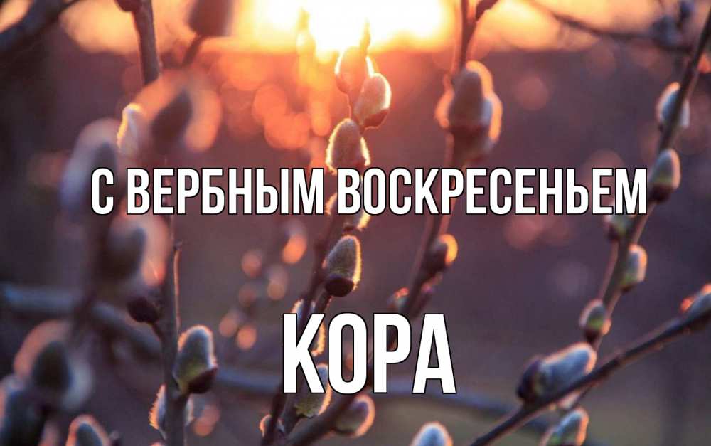 Открытка на каждый день с именем, Кора С вербным воскресеньем верба Прикольная открытка с пожеланием онлайн скачать бесплатно 