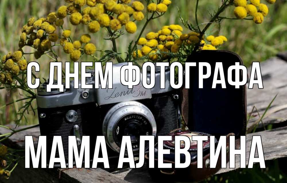 Открытка на каждый день с именем, Мама-Алевтина С днем фотографа с днем фотографа Прикольная открытка с пожеланием онлайн скачать бесплатно 