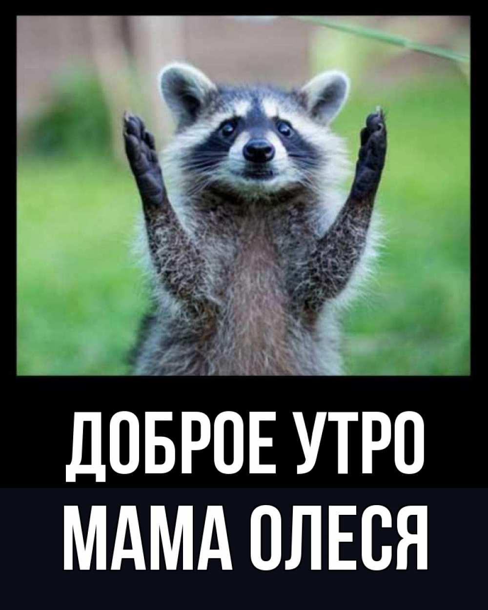 Открытка на каждый день с именем, Мама-Олеся Доброе утро хорошее настроение утречком Прикольная открытка с пожеланием онлайн скачать бесплатно 