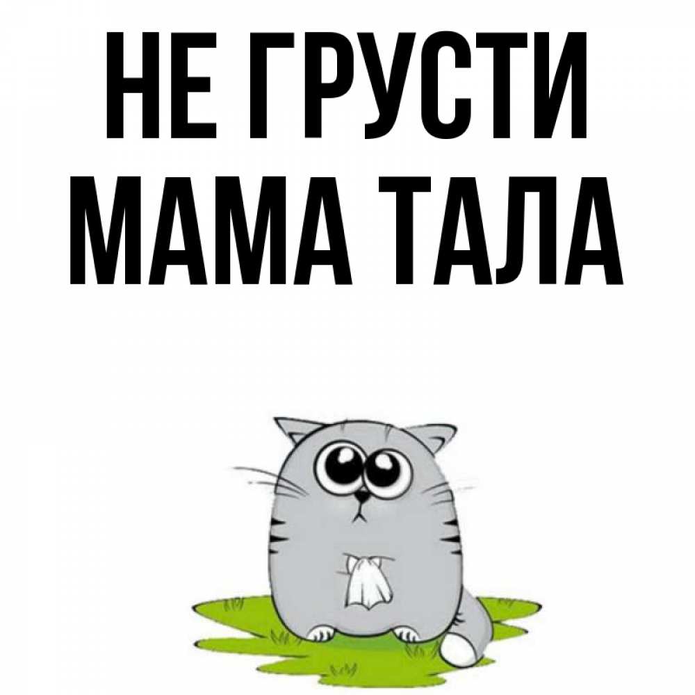 Открытка на каждый день с именем, Мама-Тала Не грусти грустный котяра Прикольная открытка с пожеланием онлайн скачать бесплатно 