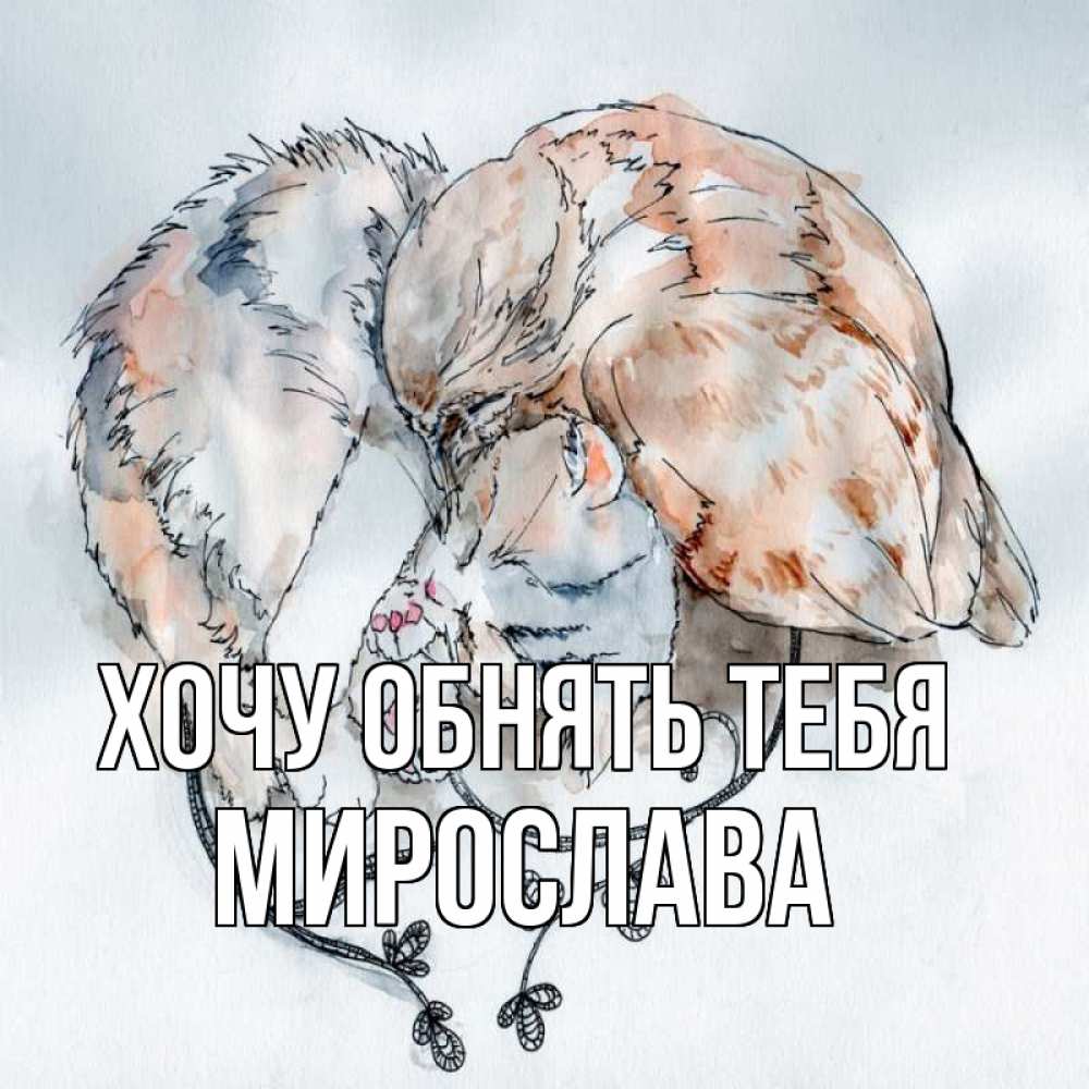 Открытка на каждый день с именем, Мирослава Хочу обнять тебя можно быть вместе даже когда очень разные Прикольная открытка с пожеланием онлайн скачать бесплатно 
