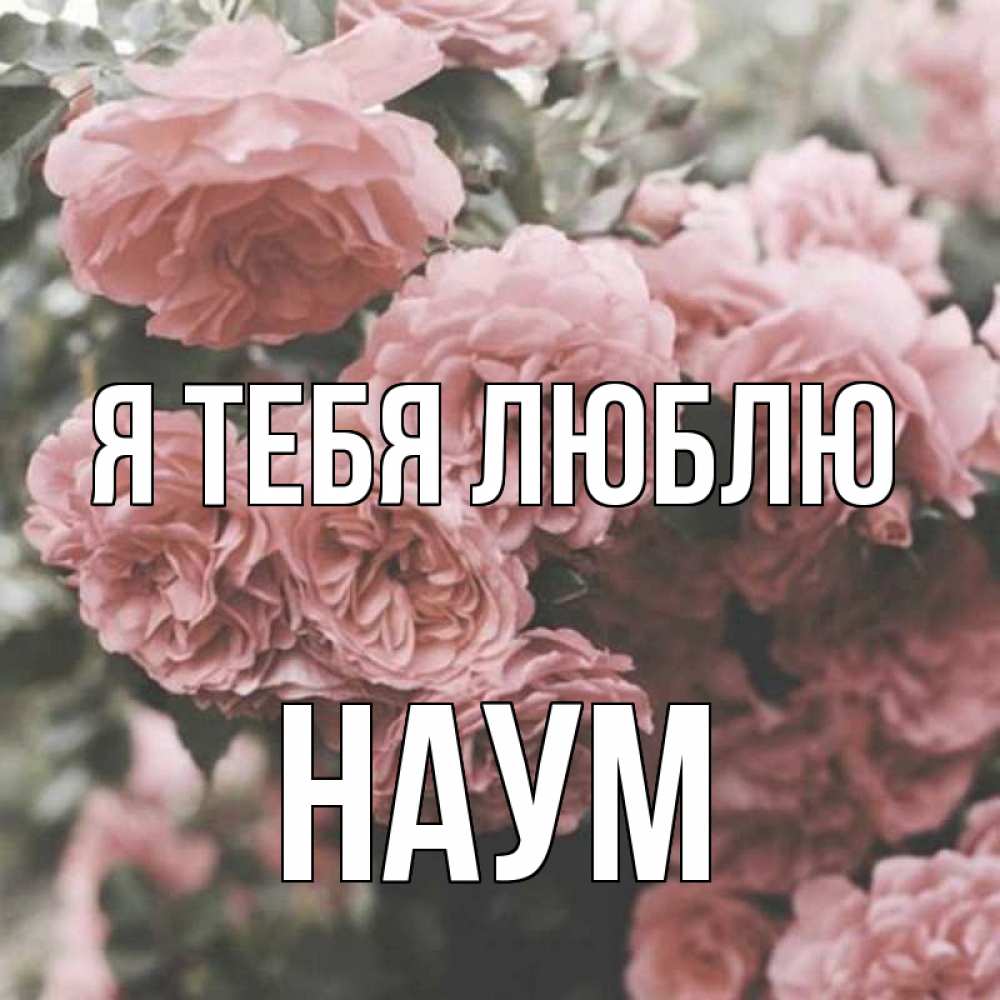 Открытка на каждый день с именем, Наум Я тебя люблю розы 3 Прикольная открытка с пожеланием онлайн скачать бесплатно 