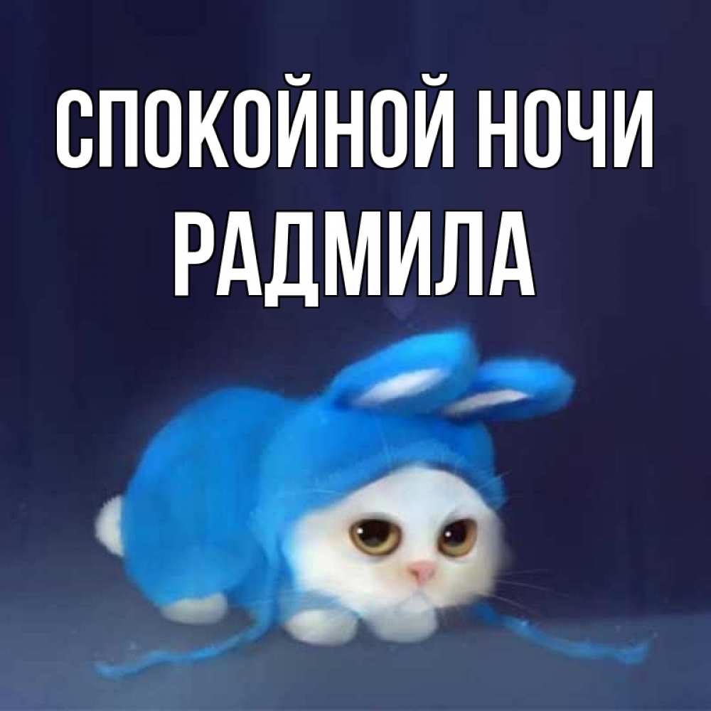 Открытка на каждый день с именем, Радмила Спокойной ночи кот в голубом костюме кролика с ушками Прикольная открытка с пожеланием онлайн скачать бесплатно 