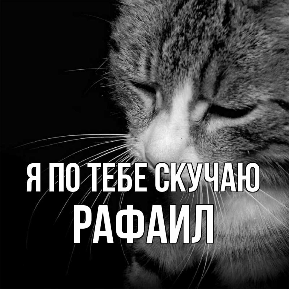 Открытка на каждый день с именем, Рафаил Я по тебе скучаю мне скучно Прикольная открытка с пожеланием онлайн скачать бесплатно 