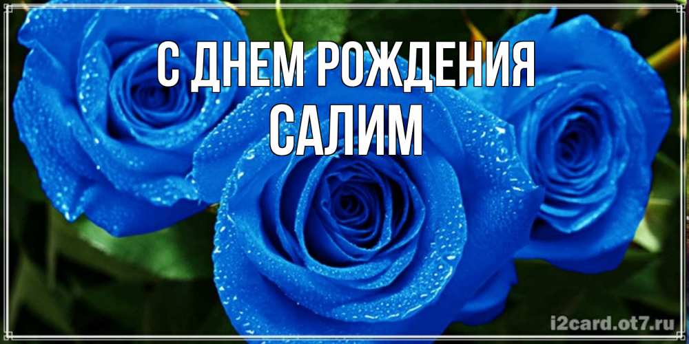 Открытка на каждый день с именем, Салим С днем рождения розы с синим цветом Прикольная открытка с пожеланием онлайн скачать бесплатно 