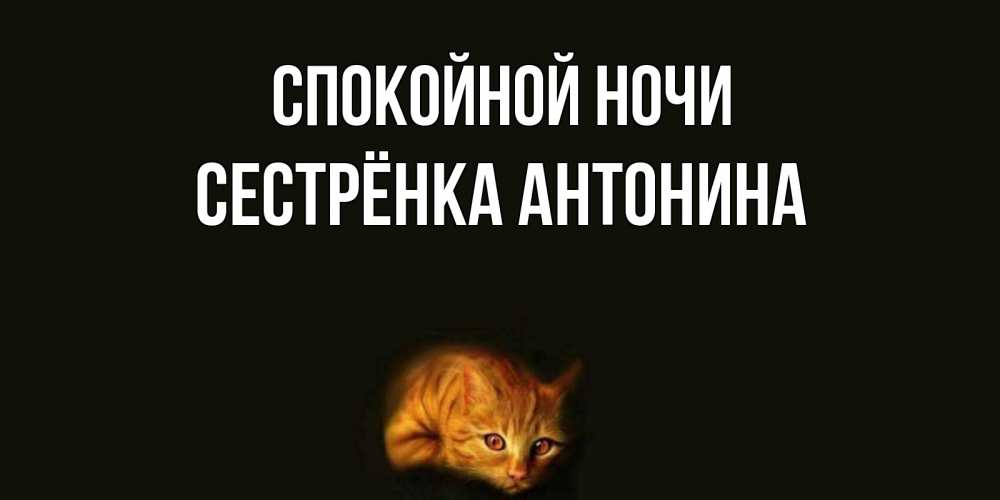 Открытка на каждый день с именем, Сестрёнка-Антонина Спокойной ночи кот Прикольная открытка с пожеланием онлайн скачать бесплатно 