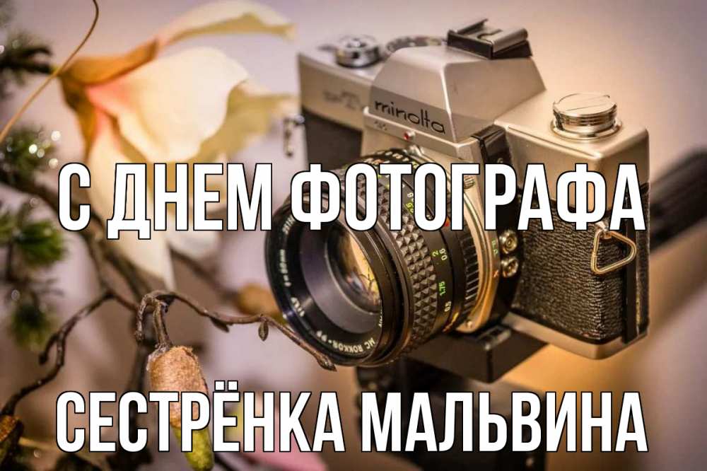 Открытка на каждый день с именем, Сестрёнка-Мальвина С днем фотографа с днем фотографа 1 Прикольная открытка с пожеланием онлайн скачать бесплатно 