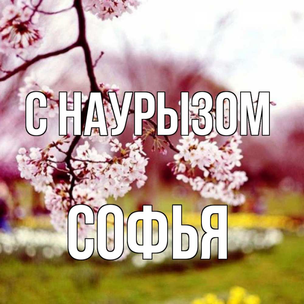 Открытка на каждый день с именем, Софья С наурызом яблоня Прикольная открытка с пожеланием онлайн скачать бесплатно 