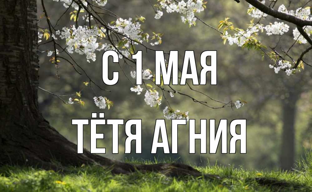 Открытка на каждый день с именем, Тётя-Агния С 1 мая С 1 мая Прикольная открытка с пожеланием онлайн скачать бесплатно 