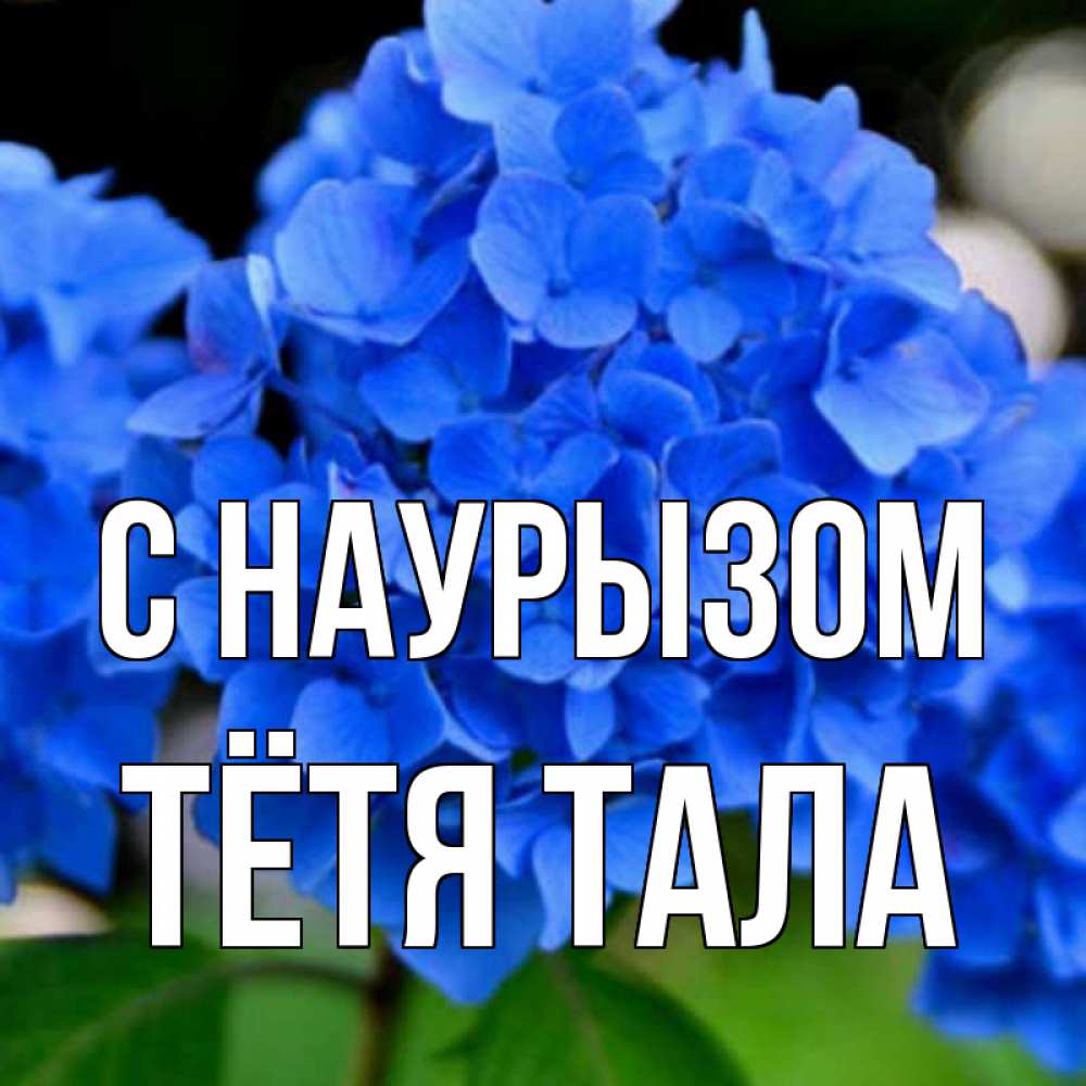 Открытка на каждый день с именем, Тётя-Тала С наурызом синие цветы Прикольная открытка с пожеланием онлайн скачать бесплатно 