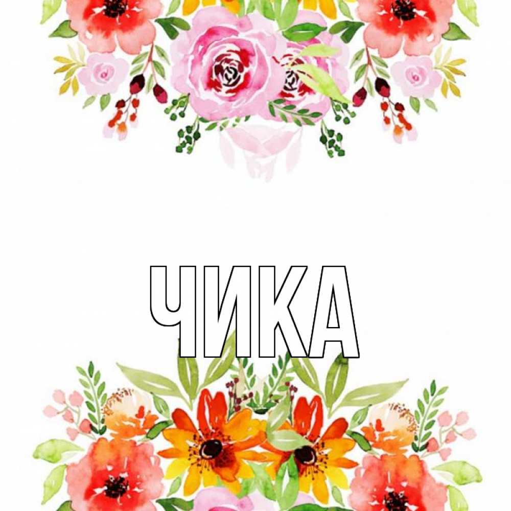 Открытка на каждый день с именем, Чика Главная открытка с цветами акварелью Прикольная открытка с пожеланием онлайн скачать бесплатно 