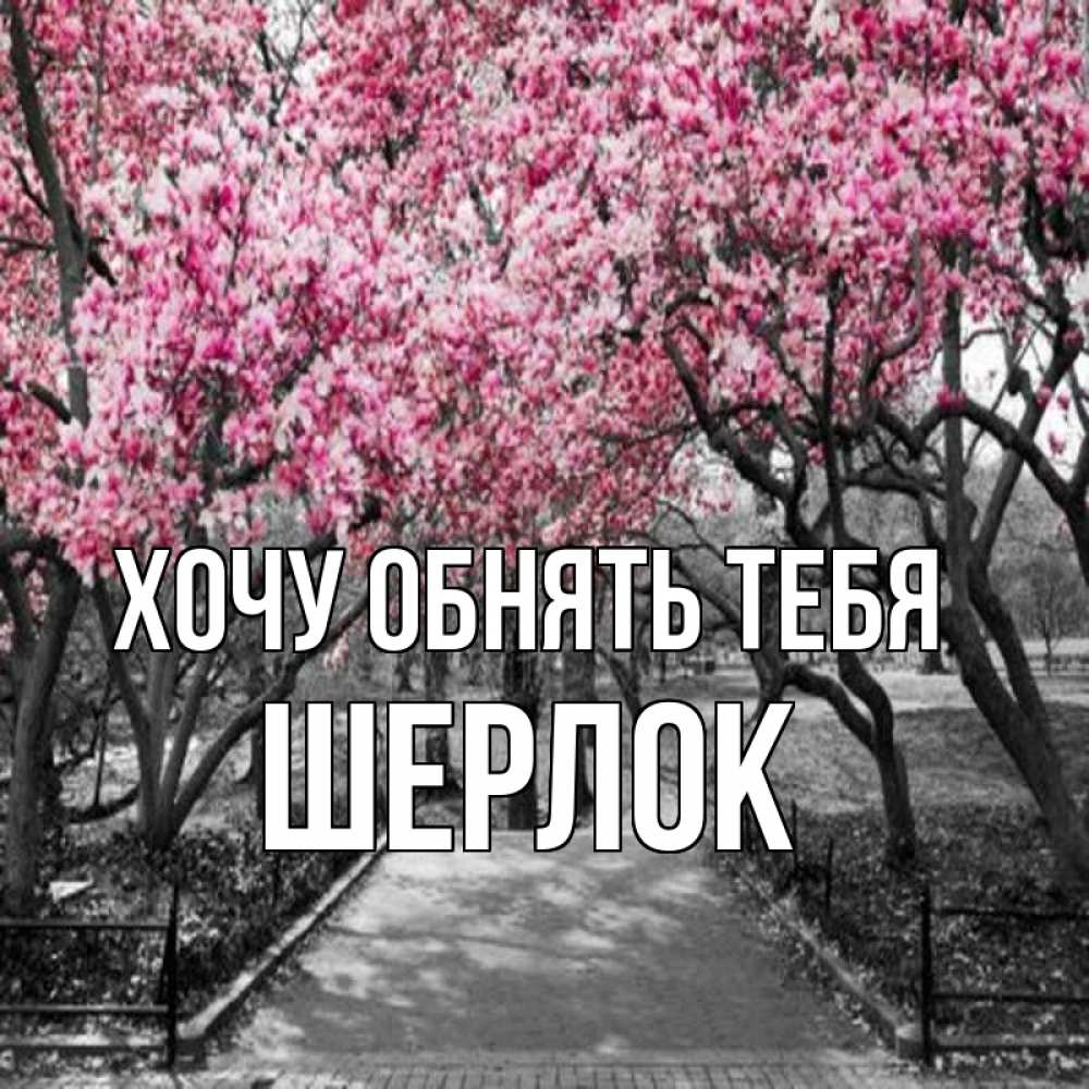 Открытка на каждый день с именем, Шерлок Хочу обнять тебя обработанное фото Прикольная открытка с пожеланием онлайн скачать бесплатно 