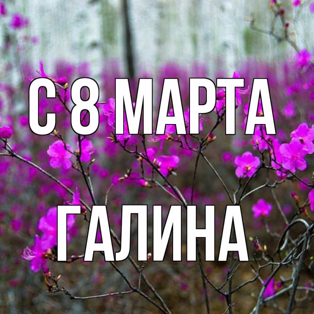 Открытка с именем, Галина, С 8 марта