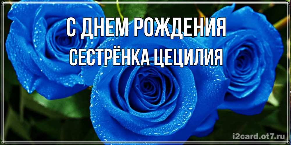 Открытка на каждый день с именем, Сестрёнка-Цецилия С днем рождения розы с синим цветом Прикольная открытка с пожеланием онлайн скачать бесплатно 