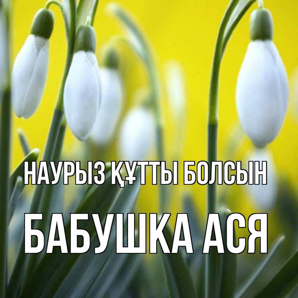 Открытка на каждый день с именем, Бабушка-Ася Наурыз құтты болсын весенние цветы Прикольная открытка с пожеланием онлайн скачать бесплатно 