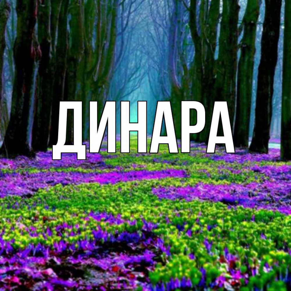 Картинка  с именем , Динара