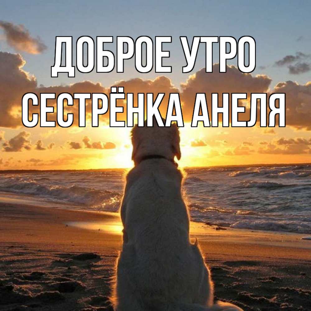 Открытка на каждый день с именем, Сестрёнка-Анеля Доброе утро восход солнца Прикольная открытка с пожеланием онлайн скачать бесплатно 