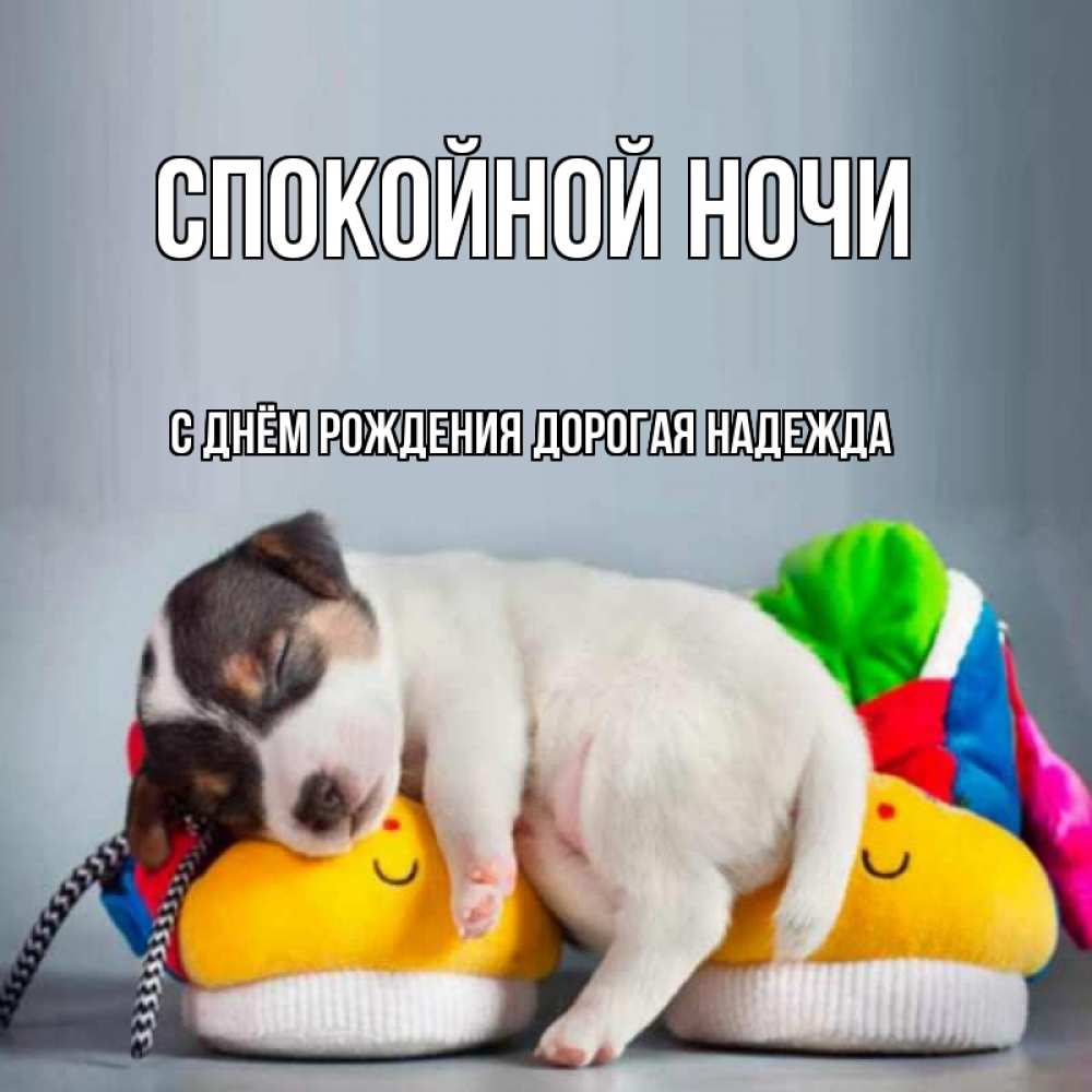 Картинка Спокойной ночи, С Днём Рождения, дорогая Надежда! 