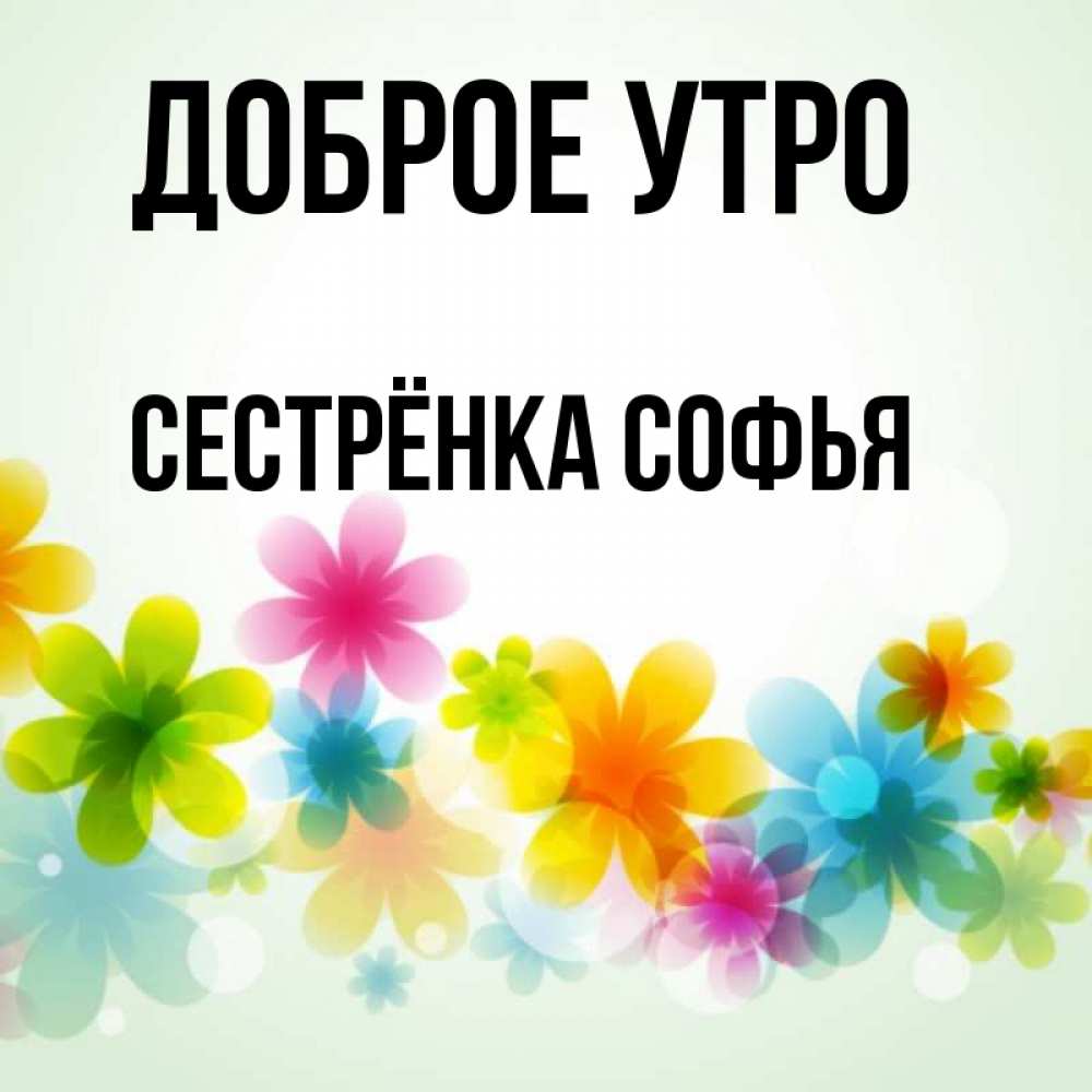 Открытка на каждый день с именем, Сестрёнка-Софья Доброе утро позитивные цветочки Прикольная открытка с пожеланием онлайн скачать бесплатно 
