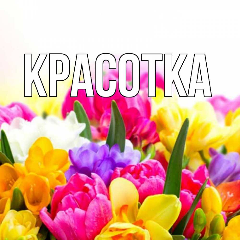 Открытка на каждый день с именем, красотка Главная тюльпаны Прикольная открытка с пожеланием онлайн скачать бесплатно 