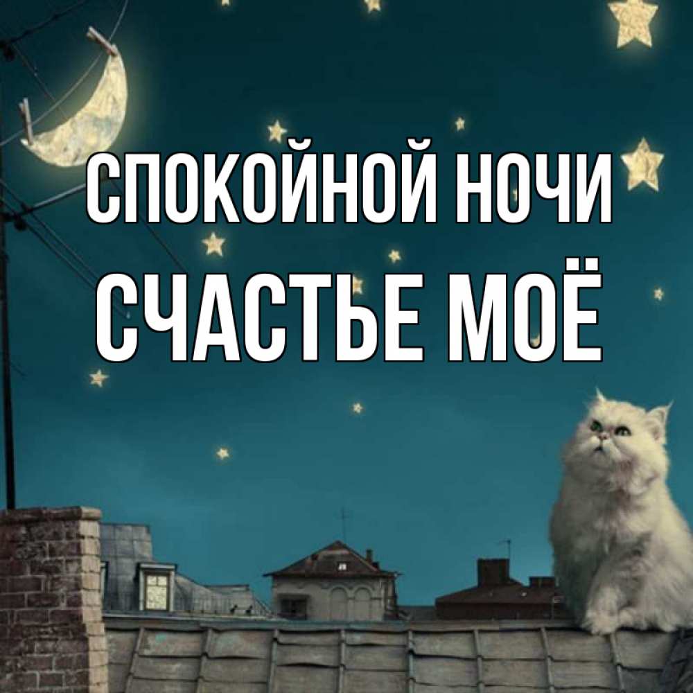 Открытка на каждый день с именем, счастье-моё Спокойной ночи белый кот сидит на крыше Прикольная открытка с пожеланием онлайн скачать бесплатно 