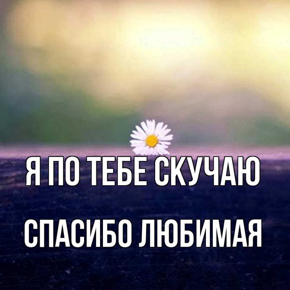 Картинки я буду очень по тебе скучать