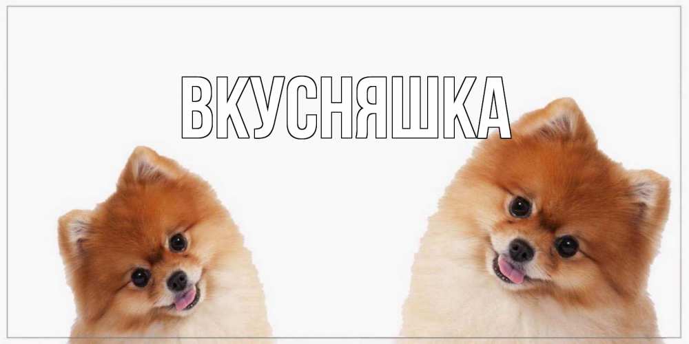 Открытка на каждый день с именем, Вкусняшка Главная собачки желают прекрасного дня Прикольная открытка с пожеланием онлайн скачать бесплатно 