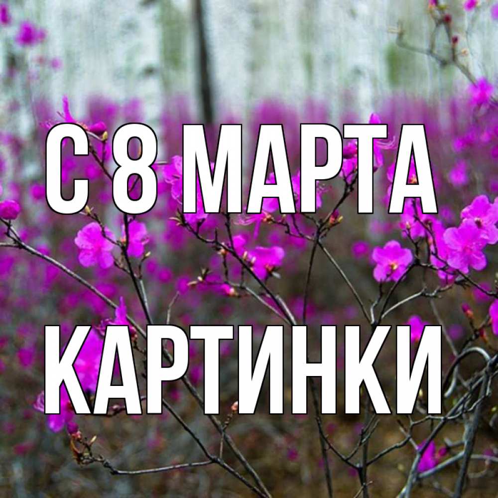 Открытка на каждый день с именем, Картинки С 8 МАРТА дикие цветы Прикольная открытка с пожеланием онлайн скачать бесплатно 