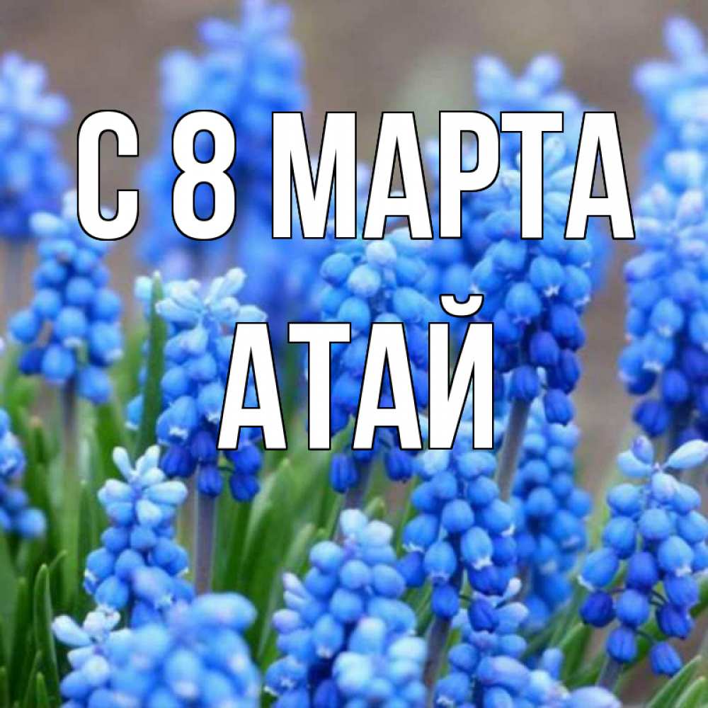 Картинка С 8 МАРТА, Атай