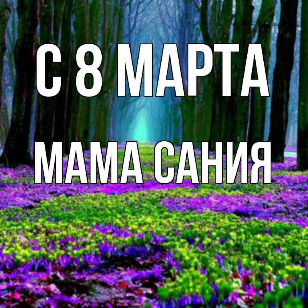 Открытка на каждый день с именем, Мама-Сания С 8 марта фиолетовые цветы в лесу 1 Прикольная открытка с пожеланием онлайн скачать бесплатно 